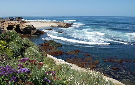 Landscape of the beach in La Jolla.